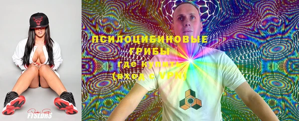 бошки Абинск
