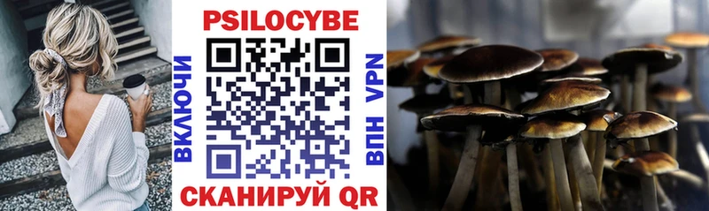 купить   Холмск  Галлюциногенные грибы мухоморы 