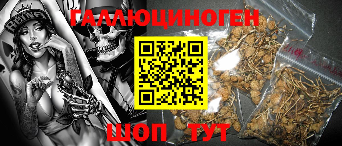 Псилоцибиновые грибы Psilocybine cubensis  Псилоцибиновые грибы Magic Shrooms  Вход с VPN  Холмск 