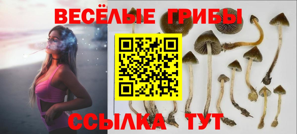 Галлюциногенные грибы MAGIC MUSHROOMS Холмск